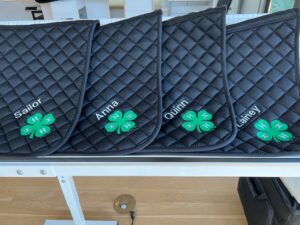 Cover photo for NHC 4-H'ers Win at State 4-H Horse Show