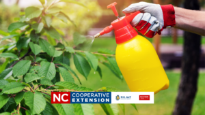 spraying plants