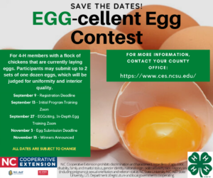 Image for Egg-cellent Egg Contest