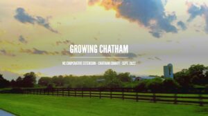 Cover photo for Now Available! September's Growing Chatham