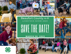 Cover photo for 2023 Beaufort County 4-H Livestock Show & Sale