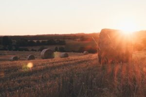 Haybale in field