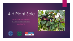 Cover photo for Fall 2022 4-H Plant Sale, Now Through October 21