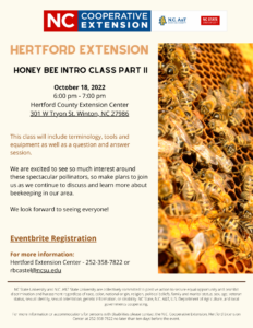 Honey Bee Intro Class Part II