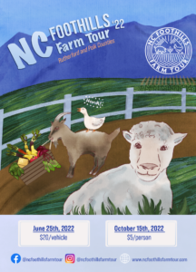 Promotional image of a sheep looking at the audience with a goat and a goose in the background.