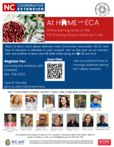 Survive the Holidays with Diabetes Flyer