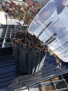 Cover photo for Gaston Grower Spotlight- October 2022