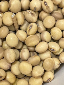 Cover photo for Camden Crop News: October 2022