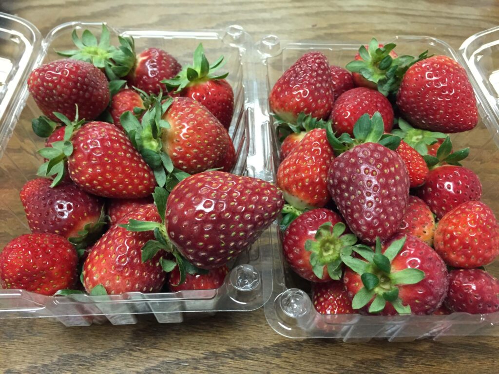 Postharvest Produce Guide Strawberries NC State Extension