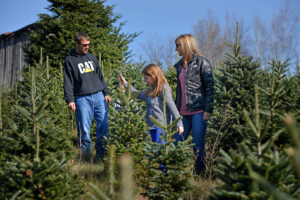 Cover photo for Fresh Cut Christmas Tree and Other Holiday Decoration Tips