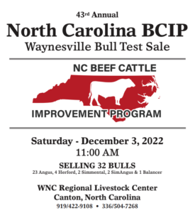Cover photo for 43rd Annual Waynesville Bull Test Sale Catalog