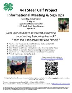 Cover photo for 2023 4-H Steer Calf Project