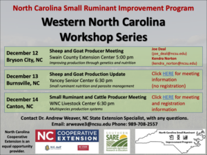 Cover photo for NC Small Ruminant Workshop Series
