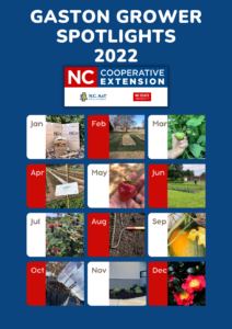 Cover photo for Gaston Grower Spotlight December 2022
