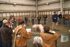 Cover photo for Judging in January
