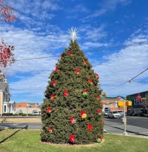 Cover photo for December 2022 Alamance Gardener