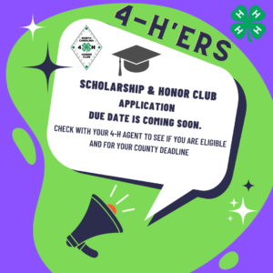 Cover photo for 4-H Scholarship & Honor Club Application