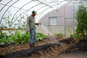 man watering garden plants in a high tunnel greenhouse by Zoe Schaeffer on Unsplash