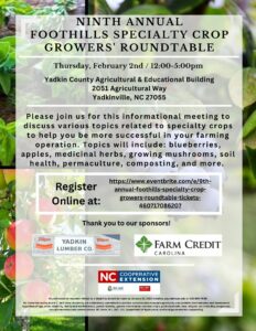 9th Annual Foothills Rountable Flyer