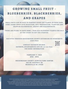 Cover photo for Growing Small Fruit - Blueberries, Blackberries, and Grapes