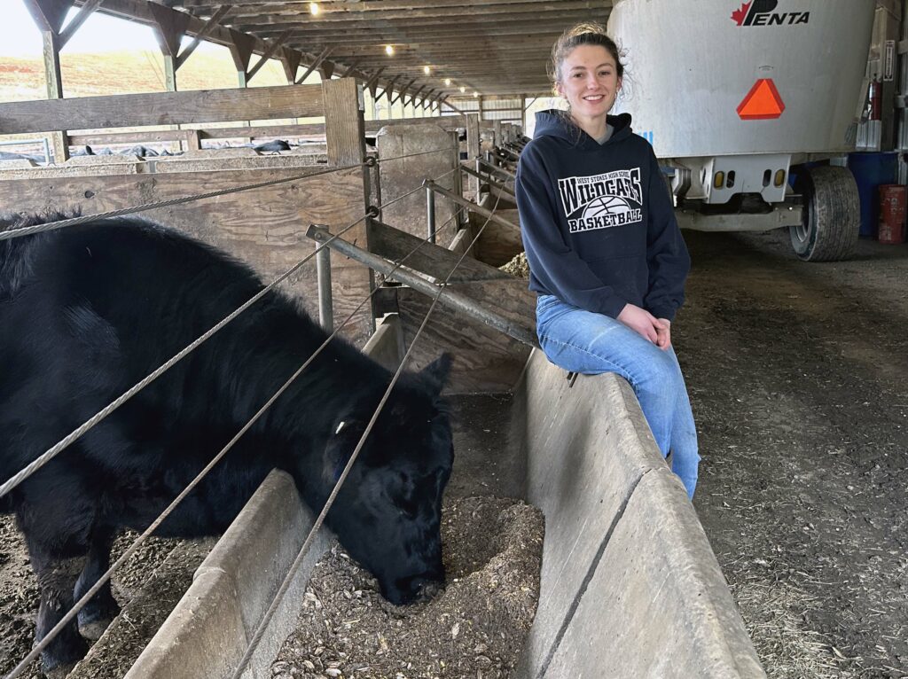 Converting Waste Products to Quality Beef NC State Extension