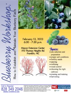 Blueberry Workshop Flyer