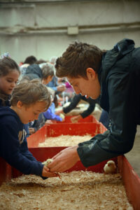 Cover photo for Extension Education Minor Provides a Pathway to Career Success