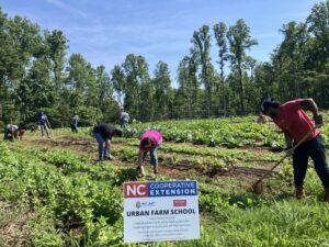 Cover photo for Applications CLOSED: 2025 Forsyth County Urban Farm School