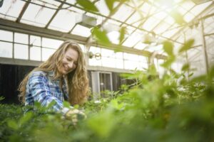 Cover photo for Virtual Small Farm Boot Camp Series in Wake County