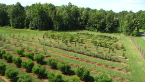 Cover photo for January 2023 Alamance Gardener