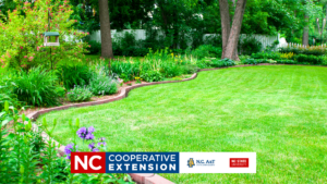 lawn care photo