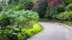 Various plants and flowers along a brick path