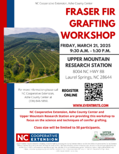 Cover photo for Fraser Fir Grafting Workshop