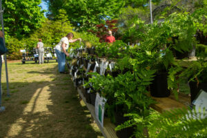Cover photo for Extension Master Gardener Volunteer Association Plant Sale: April 10th - 12th, 2025