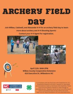 Archery Field Day
