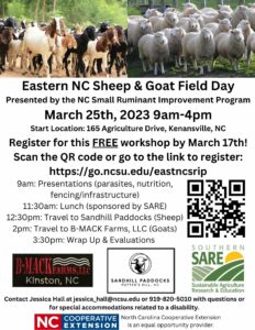 Cover photo for Eastern NC Sheep and Goat Field Day