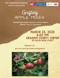 Workshop Flyer with class info