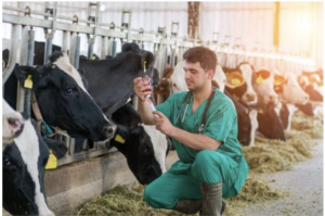 Cover photo for New Antibiotic Restrictions: What You Need to Know Before 2023