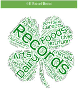 Project Record Book Clover from Awards Handbook