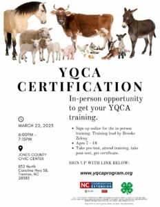 Cover photo for YQCA Training and Certification