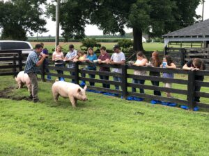 Cover photo for NC Youth Livestock Agent and Volunteer Training