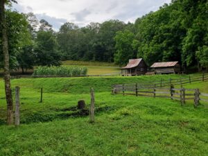Field With Growing Crops
