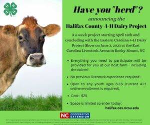 Cover photo for 4-H Dairy Project