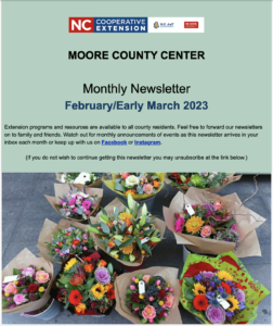 Screenshot of monthly newsletter