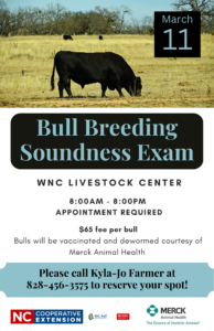 Cover photo for Spring Bull Breeding Soundness Exams