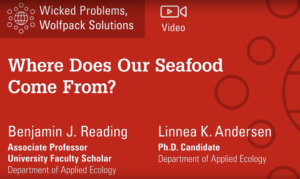 Cover photo for WolfPack Solutions: Where Does Our Seafood Come From?