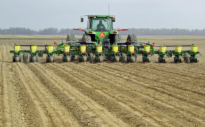 corn planting