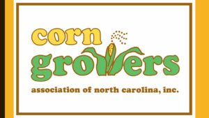 Cover photo for Corn Growers Association of North Carolina Notice of Referendum