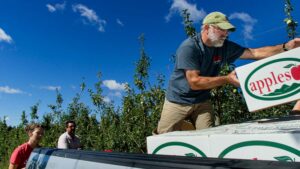 NC State Extension entomology apple crop pest management
