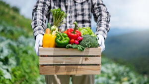 Farmer Man Holding Wooden Box Full Of Fresh Raw Vegetables.